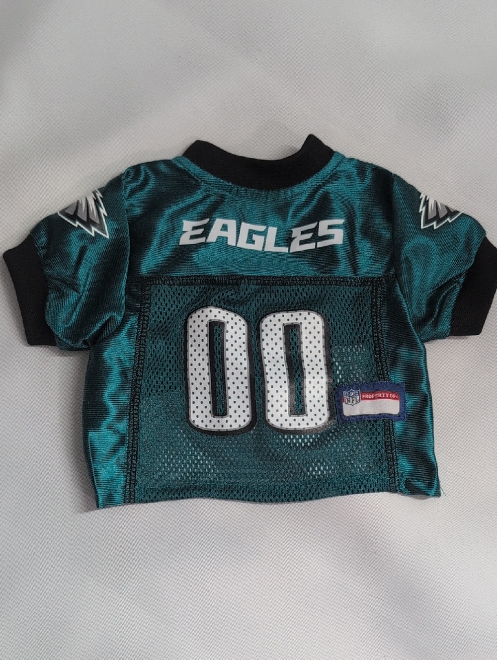 🐕 NFL Eagles Teal Kids Football Jersey Top with White Numbering